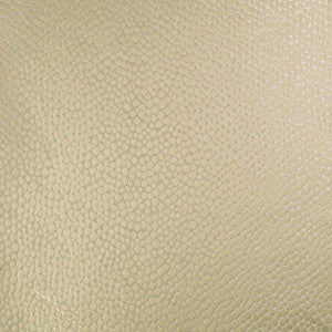 Clemson Crema by Norbar Fabric