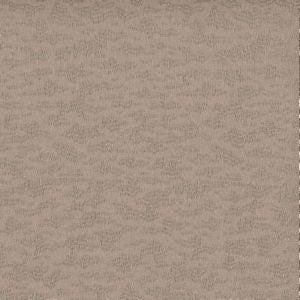 Cleo Sand by Norbar Fabric SHEER TRENDS 100% POLYESTER TURKEY 118" - Fabric Carolina -