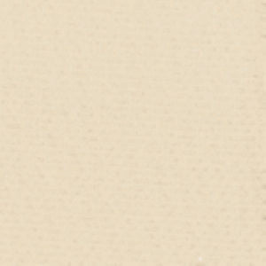 Clive Custard by Norbar Fabric CANYON 100% POLYESTER CHINA 54 - Fabric Carolina -