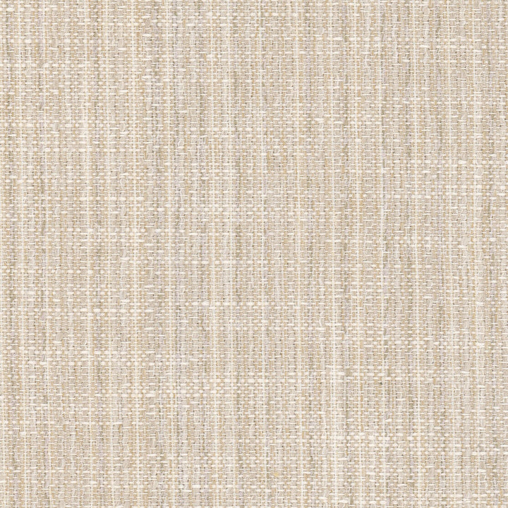 Clone 1 Champagne by Stout Designer Fabric LIVING IS EASY BONE/WHEAT 61%POL 39%SVI USA Horizontal: 0.000 and Vertical: 0.000 54 in - Swanky Fabrics -