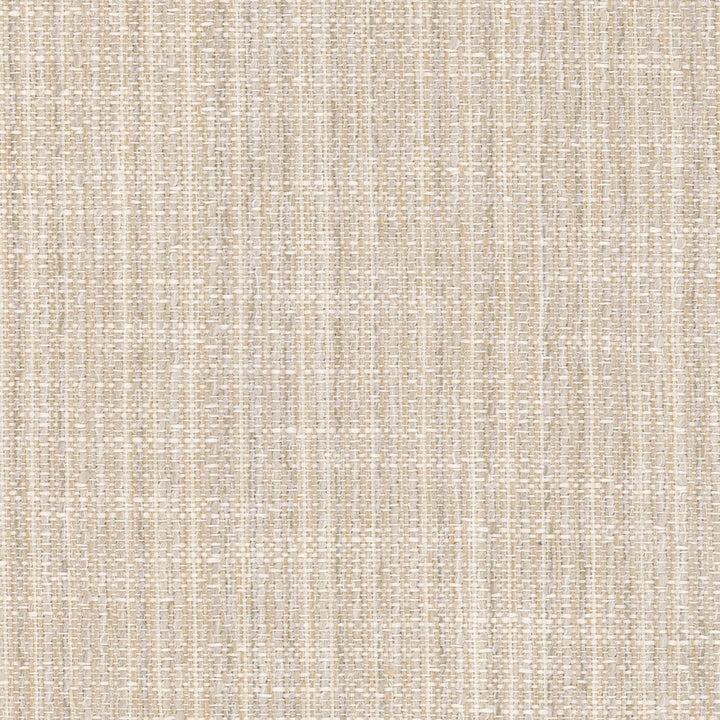 Clone 1 Champagne by Stout Fabric LIVING IS EASY BONE/WHEAT 61%POL 39%SVI USA Horizontal: 0.000 and Vertical: 0.000 54 in - Fabric Carolina -