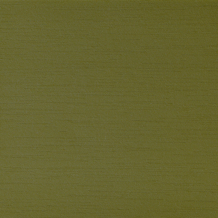 Clutch Grasshoper by Kravet Contract Fabric Kravet Contract Fabric Clutch GrasshoperFabric FOUNDATIONS / VALUE POLY VINYL CHLORIDE - 100% China </p><p>Repeat: H: 0, V: 0 54 - Fabric Carolina -