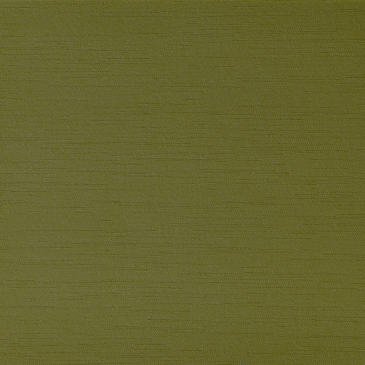 Clutch Grasshoper by Kravet Contract Fabric Kravet Contract Fabric Clutch GrasshoperFabric FOUNDATIONS / VALUE POLY VINYL CHLORIDE - 100% China </p><p>Repeat: H: 0, V: 0 54 - Fabric Carolina -