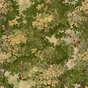 Marly/Forest Greens Cl 000126420 by Colony Fabric