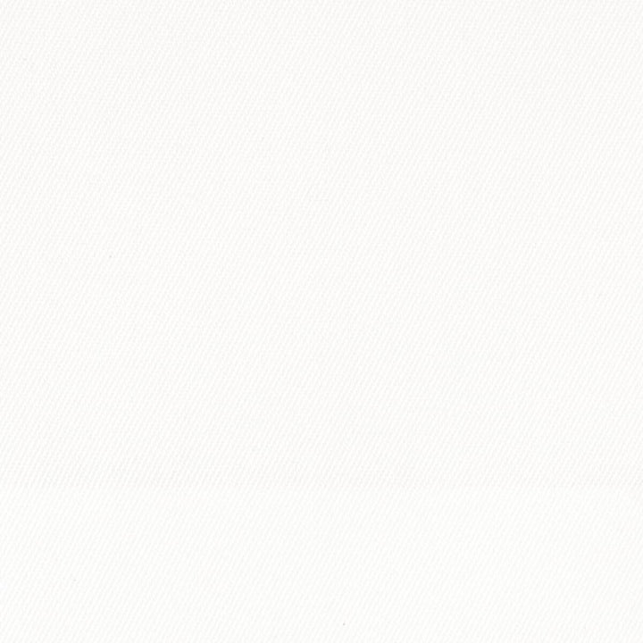 Coastal 2 White by Stout Fabric Take It Easy Indoor/Outdoor 100% UV USA FLAME RETARDANT-CA BULLETIN 117-SECTION E FLAME RETARDANT-U.F.A.C. CLASS 1 (OR A) WYZENBEEK 100 000 DOUBLE RUB WEAR TEST (HEAVY DUTY) Horizontal: 0 and Vertical: 0 54 in - Fabric Carolina -