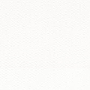 Coastal 2 White by Stout Fabric