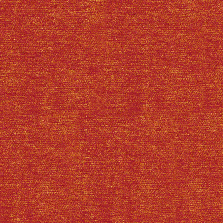 COCO 27J7081 by JF Fabric Winning Weaves V Book 100% Polyester India Horizontal: and Vertical: 54 - Fabric Carolina -