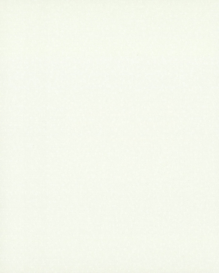 Honey Bee White Wallpaper by Candice Olson Candice Olson Terrain Covers about 60.8 square feet 27-in by 27-ft long roll Unpasted 0 - Fabric Carolina -