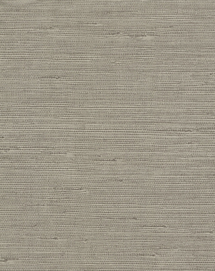 Pampas Brown Wallpaper by Candice Olson Candice Olson Terrain Covers about 60.8 square feet 27-in by 27-ft long roll Unpasted 0 - Fabric Carolina -
