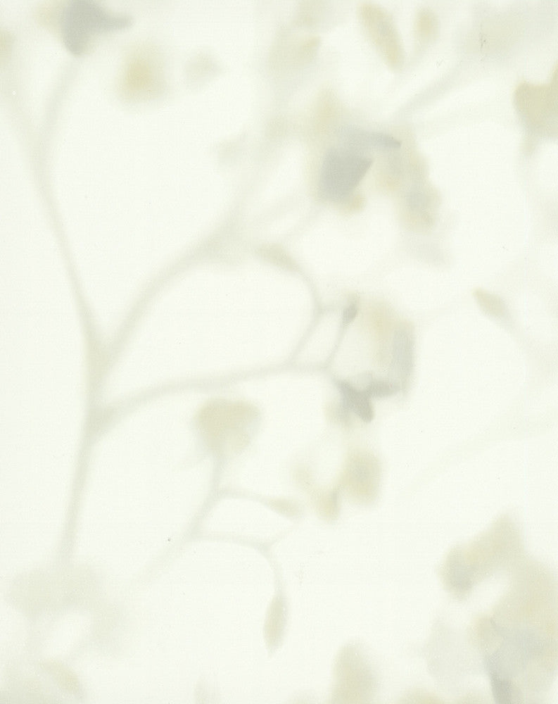 by Candice Olson Candice Olson Terrain - Fabric Carolina -