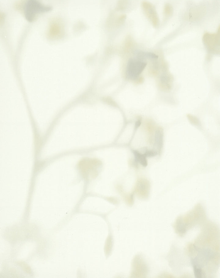 by Candice Olson Candice Olson Terrain - Fabric Carolina -