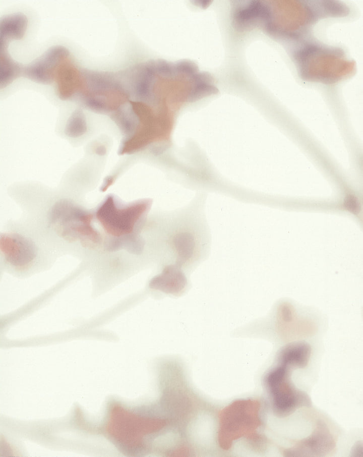 by Candice Olson Candice Olson Terrain - Fabric Carolina -
