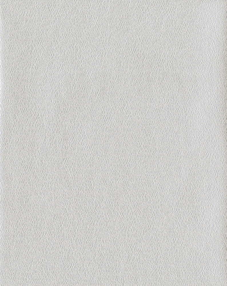 Tatting White Metallic Wallpaper by Candice Olson Candice Olson Terrain Covers about 60.8 square feet 27-in by 27-ft long roll Unpasted 0 - Fabric Carolina -