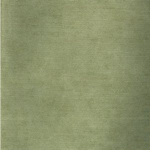 Colony Citron 335 by Norbar Fabric