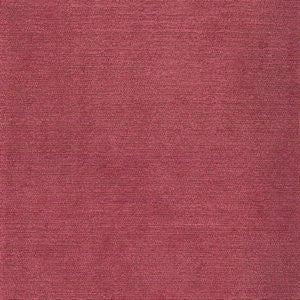 Colony Shrimp 39 by Norbar Fabric