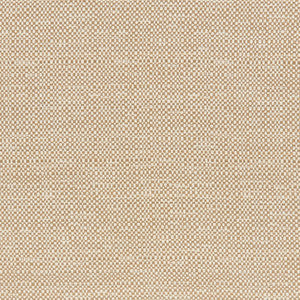 Colton 16J7721 by JF Crypton Fabric