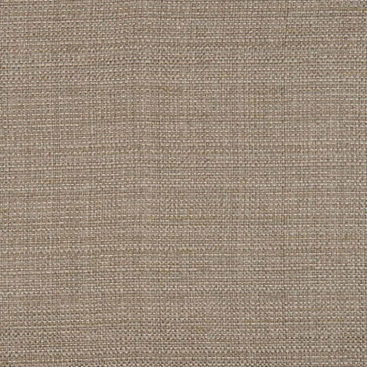 Colton 96J7721 by JF Crypton Designer Fabric Dimensions Crypton Home 84% Rayon, 15% Cotton, 1% Nylon United States 45000 Horizontal: and Vertical: 56 - Swanky Fabrics -