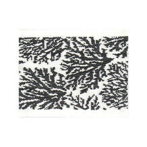 Columbia Tape 1 Domino by Stout Trim