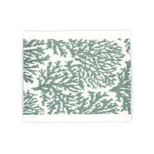 Columbia Tape 3 Lagoon by Stout Trim
