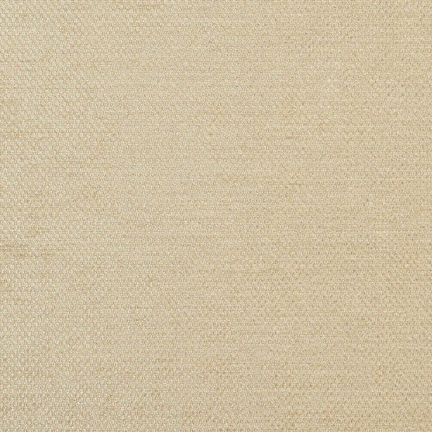 COMBAT 33J7081 by JF Designer Fabric WINNING WEAVES V 100% Polyester INDIA ABRASIO (HEAVY DUTY- 30,000+ DOUBLE RUBS) Horizontal: N/A and Vertical: N/A 55.00 - Swanky Fabrics -