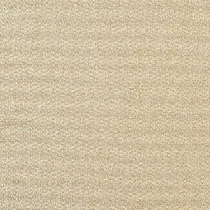 Combat 33J7081 by JF Designer Fabric Winning Weaves V Book 100% Polyester India 120000 Horizontal: and Vertical: 55 - Swanky Fabrics -