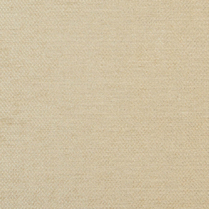 COMBAT 33J7081 by JF Fabric Winning Weaves V Book 100% Polyester India Horizontal: and Vertical: 55 - Fabric Carolina -