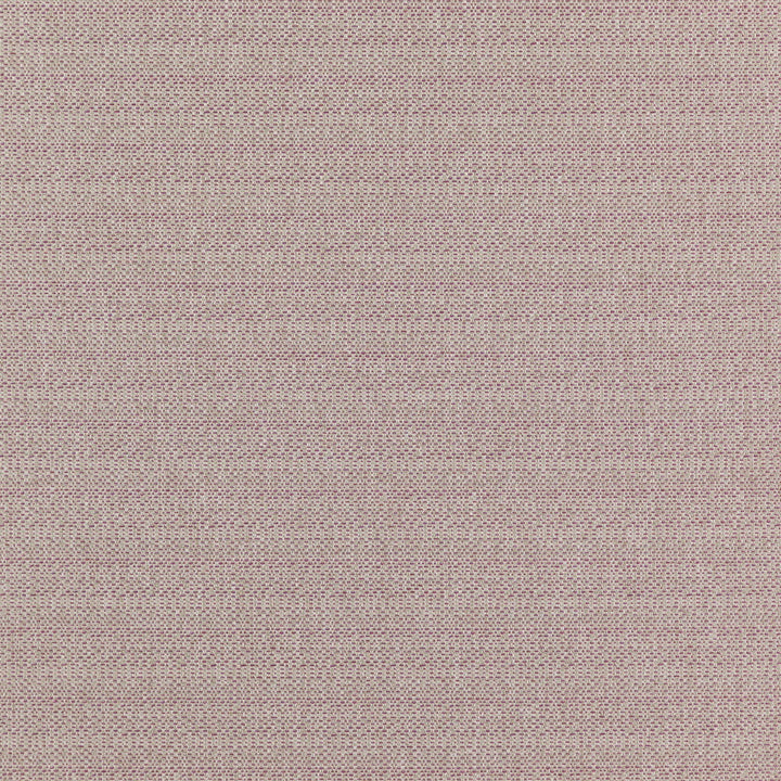 Commander 43J7351 by JF Designer Fabric Winning Weaves VI - Woven Book 100% Polyester India 40000 Horizontal: and Vertical: 57 - Swanky Fabrics -