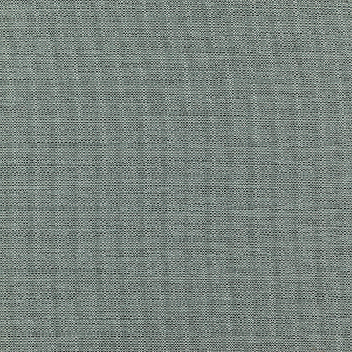 COMMANDER 63J7351 by JF Designer Fabric Winning Weaves VI - Woven Book 100% Polyester India  Horizontal:  and Vertical:  57  - Swanky Fabrics -
