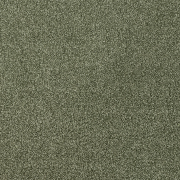 Comrade 24 Alpine by ABBEYSHEA Designer Fabric 100% Polyester CN 90,000 Double Rubs (Wyzenbeek) </p><p>Repeat: Horizontal: and Vertical: 55 in. (140 cm) - Swanky Fabrics -
