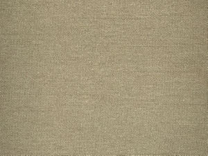 Condor Earth by Norbar Designer Fabric CONDOR 100% POLYESTER INDIA 54" - Swanky Fabrics -