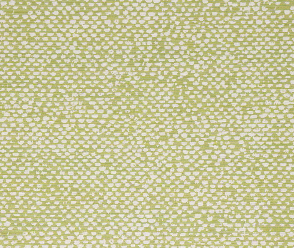 Conga Lime by Bella-Dura Fabric  100% BELLA DURA POLYOLEFIN USA 70000 H: 13.875'' V: 12'' 55.5''  - Fabric Carolina -