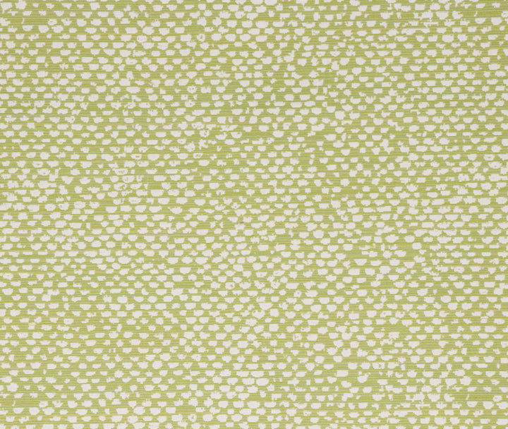 Conga Lime by Bella-Dura Fabric  100% BELLA DURA POLYOLEFIN USA 70000 H: 13.875'' V: 12'' 55.5''  - Fabric Carolina -