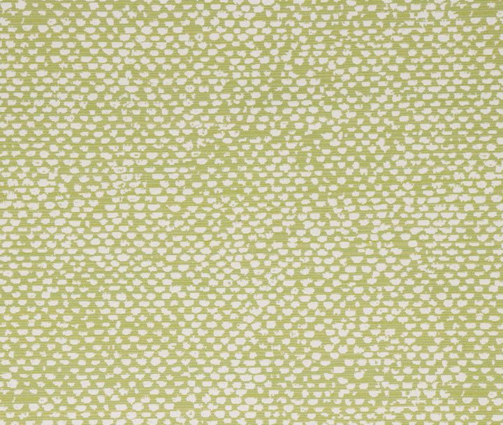 Conga Lime by Bella-Dura Designer Fabric  100% BELLA DURA POLYOLEFIN USA 70000 H: 13.875'' V: 12'' 55.5''  - Swanky Fabrics -