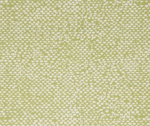 Conga Lime By Bella-Dura Fabric