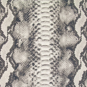 Congo 98J6261 by JF Fabric