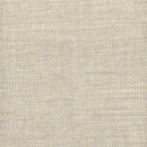 Conjure 1 Pewter by Sunbrella Fabric