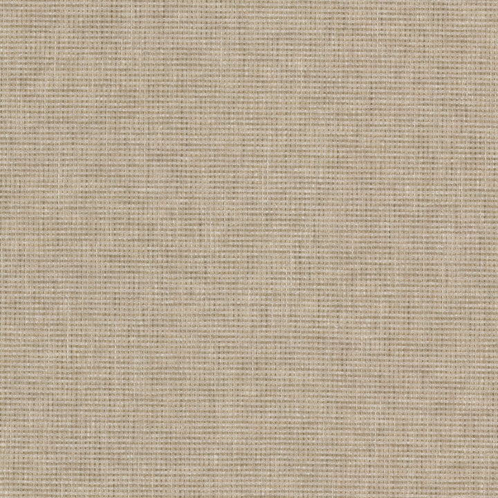 Connell 3 Toast by Stout Fabric Stout Fabric Connell 3 ToastFabric Rainbow Library Natural/Wheat 66%Pol 34%Cot India </p><p>Repeat: H: 0, V: 0 54 in - Fabric Carolina -