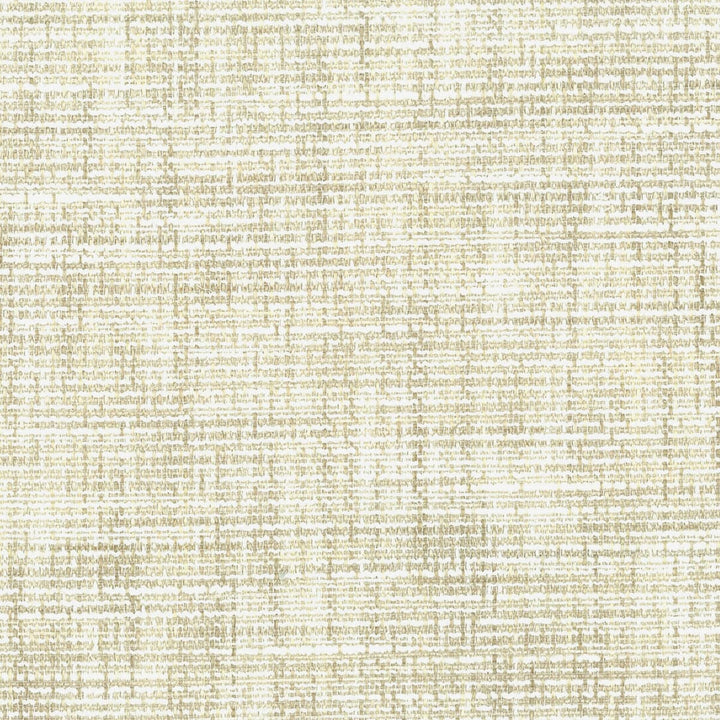 Conway 1 Marble by Stout Fabric COMFORTABLE LIVING IVORY/SAND 84%POL 16%SVI INDIA CATB 117-2013 WYZENBEEK 50 000 DOUBLE RUB WEAR TEST (HEAVY DUTY) Horizontal: 0 and Vertical: 0 54 in - Fabric Carolina -