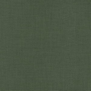 Conway Forest by Norbar Fabric