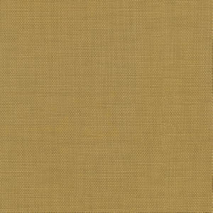 Conway Gold by Norbar Fabric FAMOUS 100% COTTON PAKISTAN 54 - Fabric Carolina -