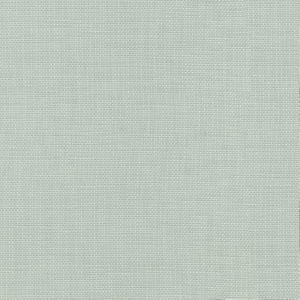 Conway Mist by Norbar Fabric FAMOUS 100% COTTON PAKISTAN 54 - Fabric Carolina -