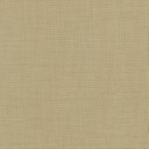 Conway Sesame by Norbar Fabric FAMOUS 100% COTTON PAKISTAN 54 - Fabric Carolina -