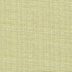 Coolidge 3 Dewkist by Stout Fabric