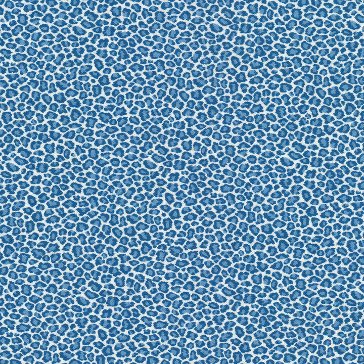 Copycat 1 Bluebird by Stout Fabric Stout Fabric Copycat 1 BluebirdFabric RAINBOW LIBRARY HAZE/SKY 100%COT SPAIN </p><p>Repeat: H: 4.500, V: 4.500 54 in - Fabric Carolina -