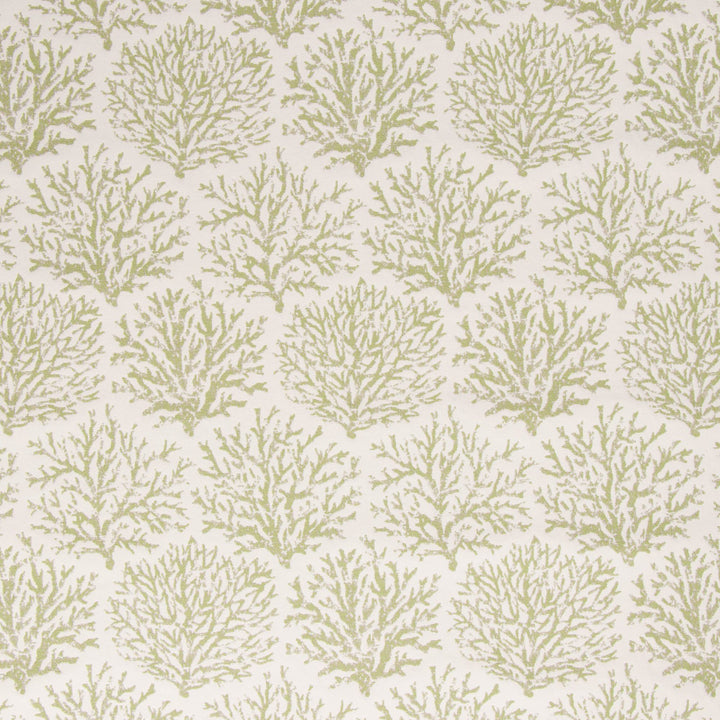 Coraline Meadow by Bella-Dura Fabric  100% BELLA DURA POLYOLEFIN USA 70000 H: 13.5''' V: 20'' 54.25''  - Fabric Carolina -