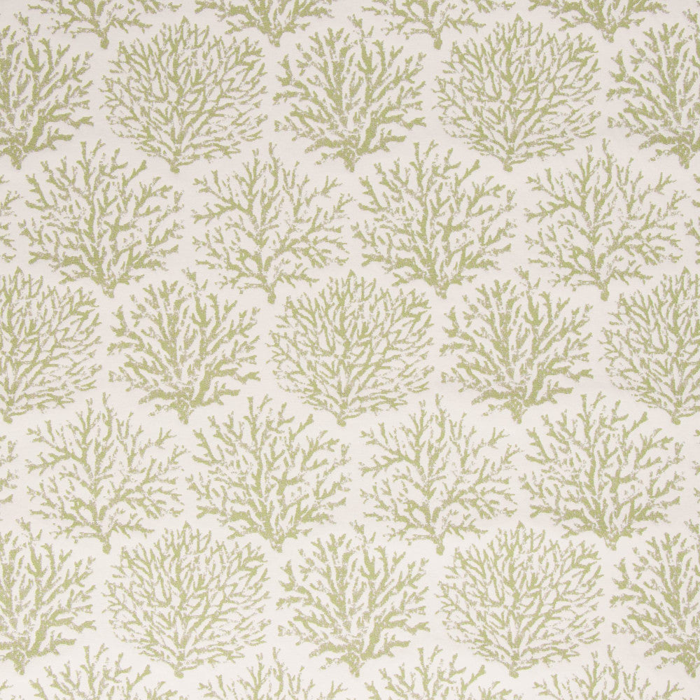 Coraline Meadow by Bella-Dura Designer Fabric  100% BELLA DURA POLYOLEFIN USA 70000 H: 13.5''' V: 20'' 54.25''  - Swanky Fabrics -