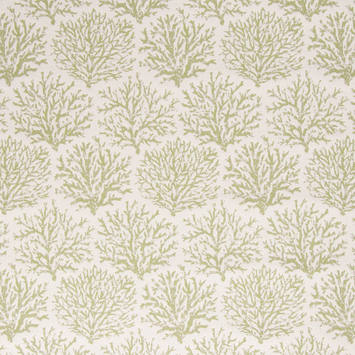 Coraline Meadow by Bella-Dura Designer Fabric  100% BELLA DURA POLYOLEFIN USA 70000 H: 13.5''' V: 20'' 54.25''  - Swanky Fabrics -