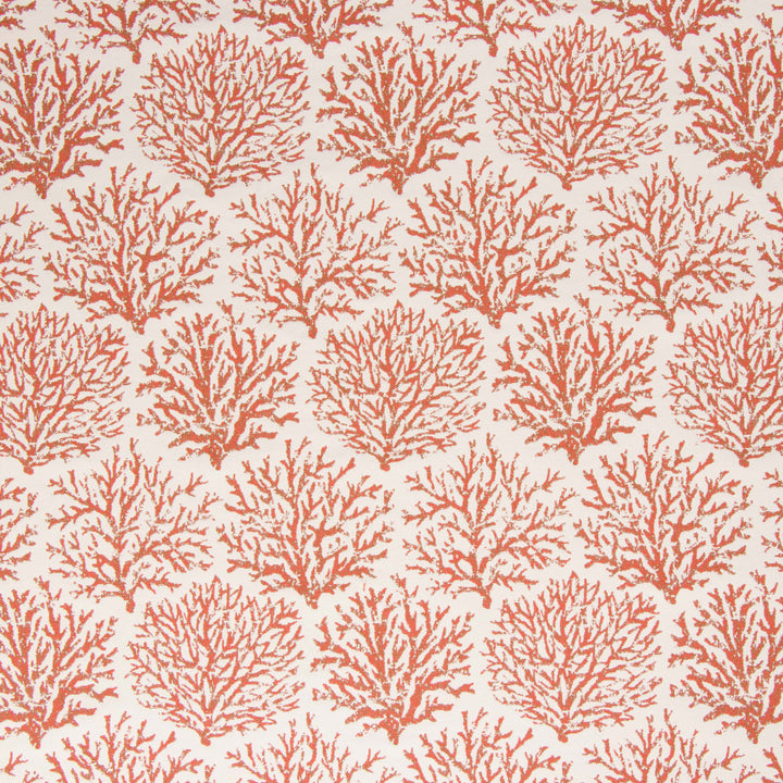 Coraline Persimmon by Bella-Dura Fabric  100% BELLA DURA POLYOLEFIN USA 70000 H: 13.5''' V: 20'' 54.25''  - Fabric Carolina -