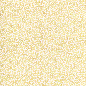 Coralcoast Cornsilk CORALCOAST.14.0 by Kravet Basics Fabric