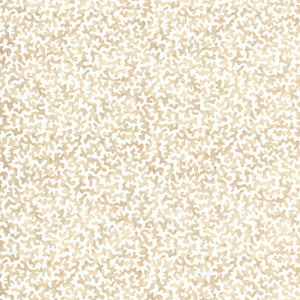 Coralcoast Sand CORALCOAST.161.0 by Kravet Basics Fabric
